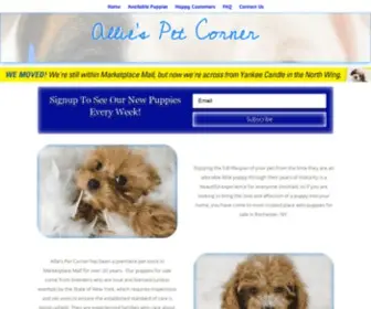 Alliespetcorner.com(Buy A Puppy) Screenshot