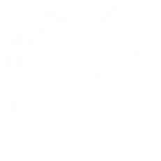 Alliv.com.br Favicon