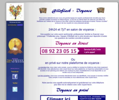 Alloflash.com(Alloflash Voyance de France sans CB au) Screenshot