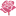 Alloyalife.com Favicon