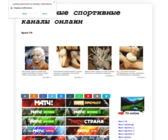 Allsports-TV.ru(èñòåê) Screenshot