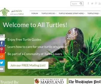 Allturtles.com(Explore the captivating world of turtles with All Turtles) Screenshot