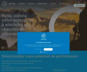 Almacg.fr(Conseil opérationnel en réduction des coûts) Screenshot