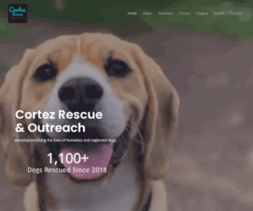 Almahumanitaria.org(Everyday enriching the lives of homeless and neglected dogs) Screenshot