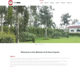 Alnoorexports.com(Al-Noor Exports) Screenshot