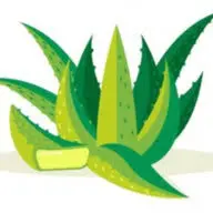 Aloeverapura.com Logo