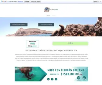 Alonsotours.com(Productos presentados) Screenshot