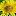 Alpinehoneybee.com Favicon