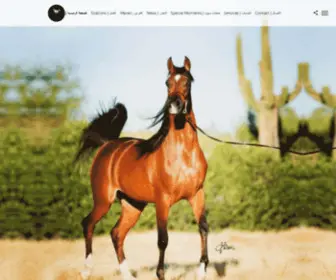AlrajHiastud.com(Al Rajhia Stud) Screenshot