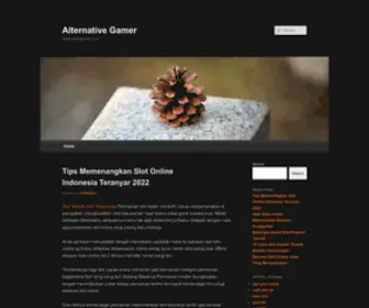 Altergamer.com(Immerse yourself in the Alternative of video gaming) Screenshot