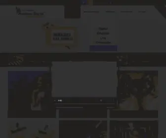 Altunizadeamerikankultur.com(ALTUNİZADE AMERİKAN KÜLTÜR YABANCI DİL OKULU) Screenshot