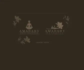 Amadahy.com(Amadahy Naturals) Screenshot