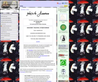 Amanitaceae.org(Taxonomy and Morphology of Amanita and Limacella) Screenshot