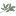 Amanoflorals.com.au Favicon