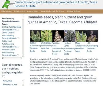 Amarillocannabis.cf(Cannabis seeds) Screenshot