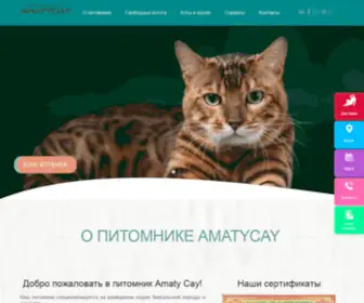 Amatycay154.ru(Amaty Cay) Screenshot