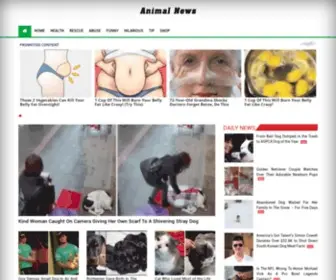 Amazingdogstories.info(Animal news) Screenshot