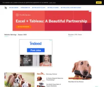 Amazingpetshere.com(Hundebetreuung) Screenshot