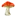 Amazingshrooms.com Favicon