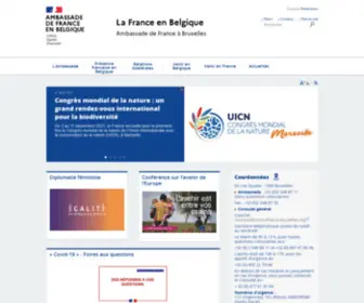 Ambafrance-BE.org(La France en Belgique) Screenshot