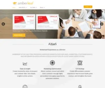 Amberleaf.net(Customer Experience Consulting) Screenshot