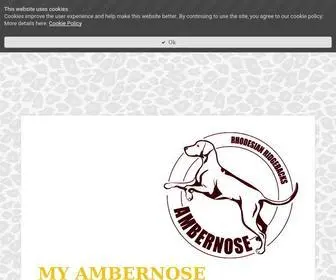 Ambernose.com(Rhodesian ridgebacks) Screenshot