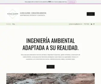 Ambiental.com.bo(Consultoría ambiental enfocada en el apoyo a procesos de gestión ambiental) Screenshot