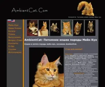 Ambientcat.com(Maine coon) Screenshot