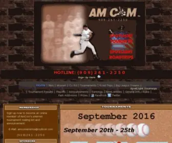 Amcomsports.com(Am Com USA Softball) Screenshot