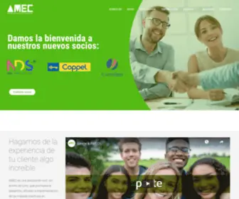 Amecmexico.com(AMEC) Screenshot