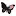 Americanbutterflythestory.com Favicon