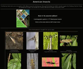 Americaninsects.net(American Insects) Screenshot