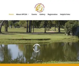 AmericanpunjabicGa.com(American Punjabi Charity Golf Association) Screenshot