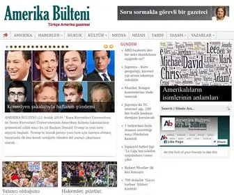 Amerikabulteni.com(Amerika Bulteni) Screenshot