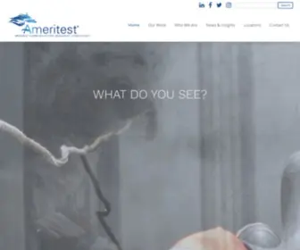 Ameritest.com(Consumer insights) Screenshot