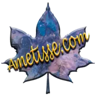 Ametisse.com Logo