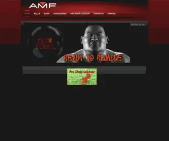 AMF300.com(AMF) Screenshot