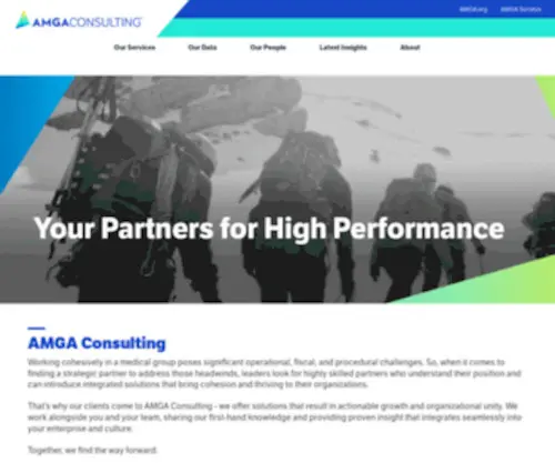 Amgaconsulting.com(AMGA Consulting) Screenshot