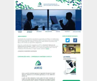 Amig.org.mx(ASOCIACIÓN MEXICANA DE INSTITUCIONES DE GARANTÍAS) Screenshot