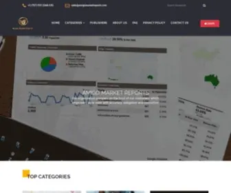Amigomarketreports.com(Amigo Market Reports) Screenshot