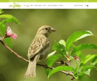 Amijivdaya.com(Ami jivdaya) Screenshot