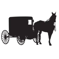 Amishnews.com Logo