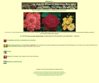 Amityheritageroses.com(Amity Heritage Roses) Screenshot