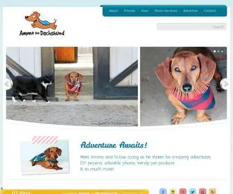 Ammothedachshund.com(Ammo the Dachshund) Screenshot