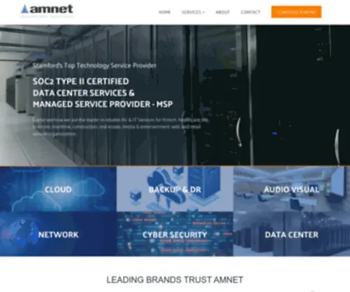 Amnetsystems.com(Amnetsystems) Screenshot