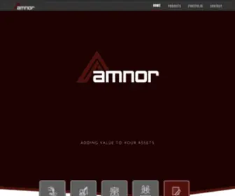 Amnorgroup.com(Amnor Group Inc) Screenshot