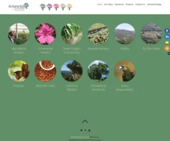 Amorentia.co.za(Amorentia Estate & Nursery) Screenshot