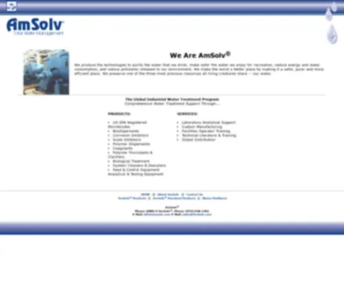 Amsolv.com(AmSolvÂ®) Screenshot