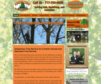 Amspachertreeservice.com(Tree Service) Screenshot