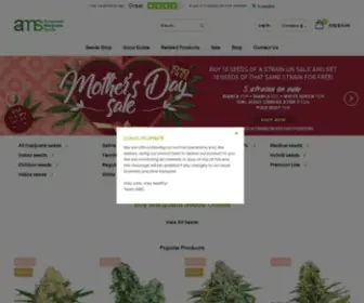 Amsterdammarijuanaseeds.com(Amsterdam Marijuana Seeds) Screenshot